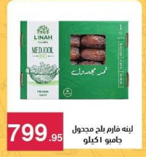 available at محمود الفار in Egypt - القاهرة