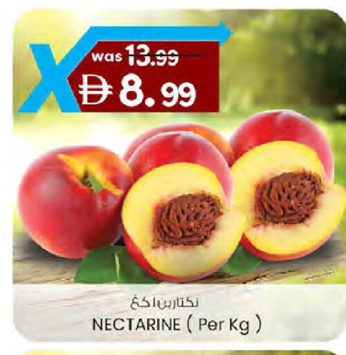 Nectarine available at ك. الم. للتجارة in الإمارات العربية المتحدة , الامارات - دبي