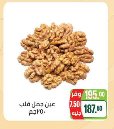 available at سعودي سوبرماركت in Egypt - القاهرة