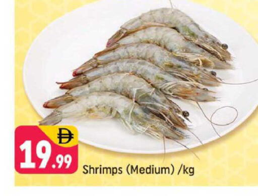 available at شكلان ماركت in الإمارات العربية المتحدة , الامارات - دبي