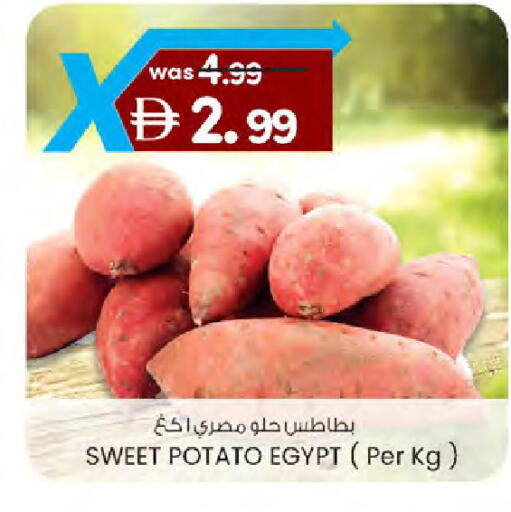 Sweet Potato from Egypt available at ك. الم. للتجارة in الإمارات العربية المتحدة , الامارات - دبي