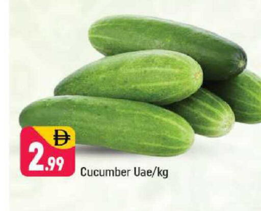 Cucumber available at شكلان ماركت in الإمارات العربية المتحدة , الامارات - دبي