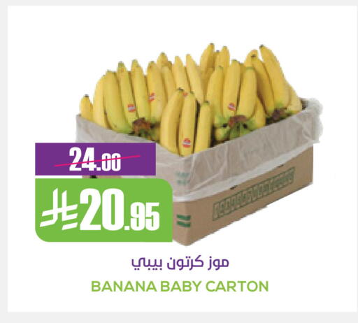 Banana available at سبت in مملكة العربية السعودية, السعودية, سعودية - بريدة