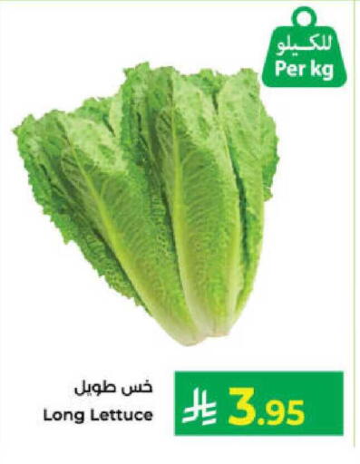Lettuce available at Kabayan Hypermarket in KSA, Saudi Arabia, Saudi - Yanbu