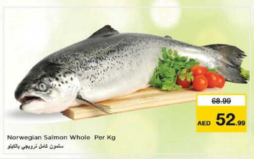 available at Nesto Hypermarket in UAE - Abu Dhabi