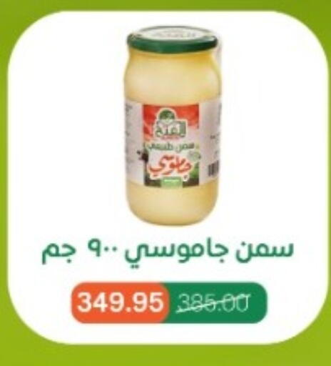 available at بيت الجملة in Egypt - القاهرة