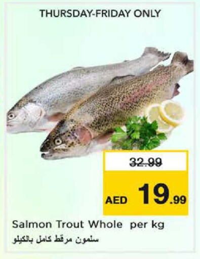 available at نستو هايبرماركت in الإمارات العربية المتحدة , الامارات - دبي