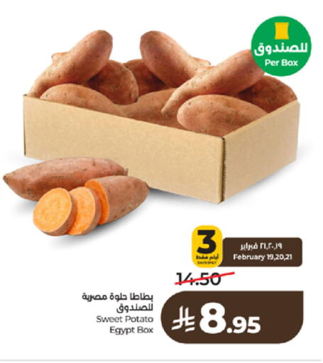Sweet Potato from Egypt available at LULU Hypermarket in KSA, Saudi Arabia, Saudi - Yanbu