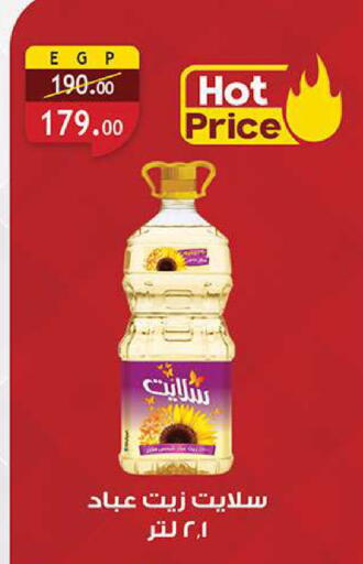 available at الرايه  ماركت in Egypt - القاهرة