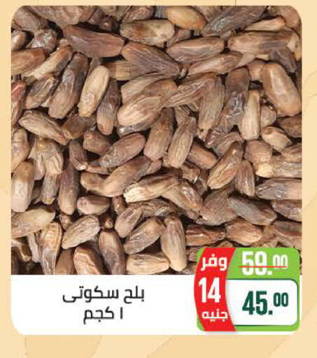 available at سعودي سوبرماركت in Egypt - القاهرة