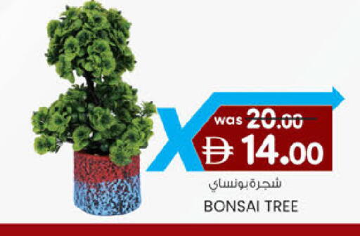 available at Safa Express Supermarket in UAE - Abu Dhabi