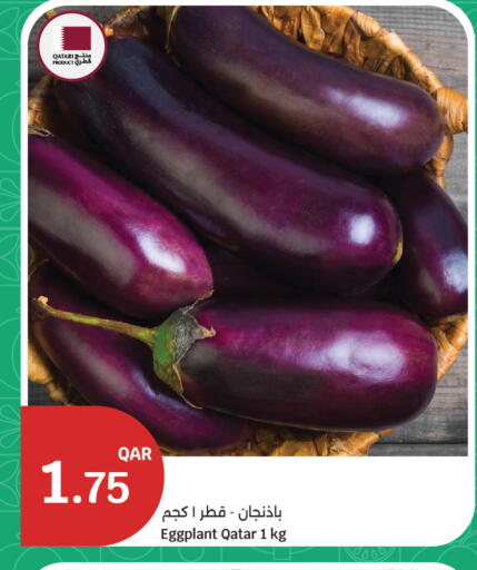 Eggplant from Qatar available at سيتي هايبرماركت in قطر - الدوحة