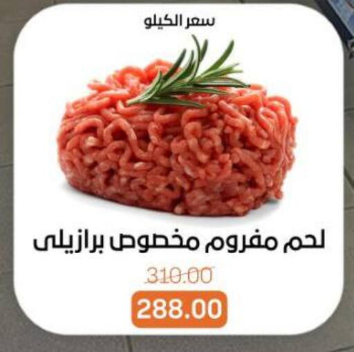 available at بيت الجملة in Egypt - القاهرة