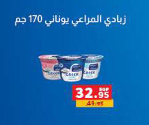 available at Panda  in Egypt - Cairo