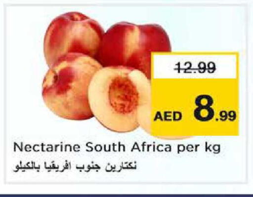 Nectarine from South Africa available at Nesto Hypermarket in UAE - Abu Dhabi