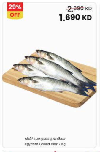 available at مركز سلطان in الكويت - محافظة الجهراء