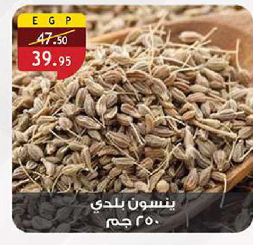 available at الرايه  ماركت in Egypt - القاهرة