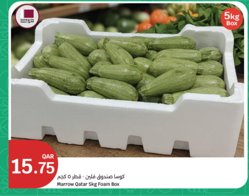 Marrow from Qatar available at سيتي هايبرماركت in قطر - الدوحة