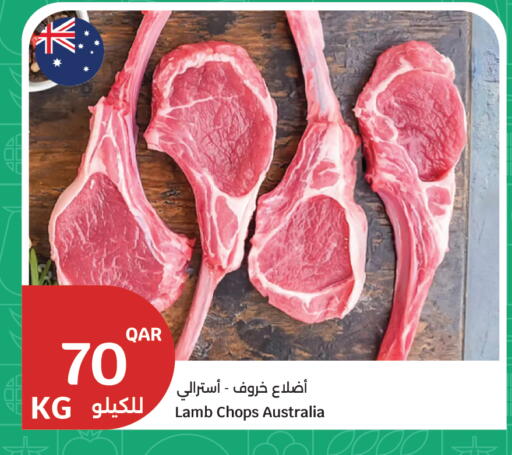 available at سيتي هايبرماركت in قطر - الضعاين