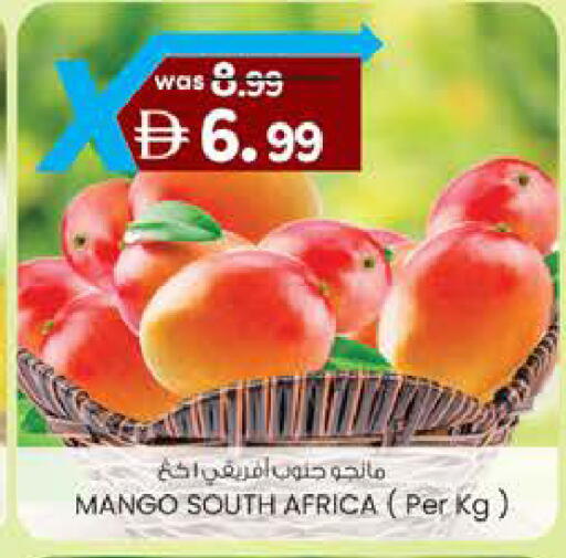 Mango from South Africa available at ك. الم. للتجارة in الإمارات العربية المتحدة , الامارات - ٱلْفُجَيْرَة‎