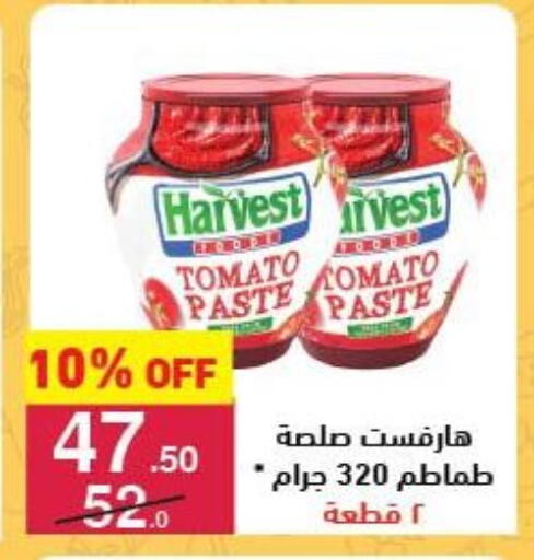 Tomato available at محمود الفار in Egypt - القاهرة