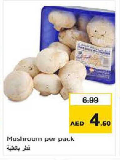 Mushroom available at لاست تشانس in الإمارات العربية المتحدة , الامارات - ٱلْفُجَيْرَة‎