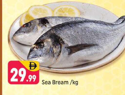 available at شكلان ماركت in الإمارات العربية المتحدة , الامارات - دبي