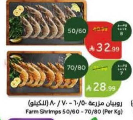 available at Hyper Panda in KSA, Saudi Arabia, Saudi - Tabuk