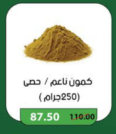 available at سعودي سوبرماركت in Egypt - القاهرة
