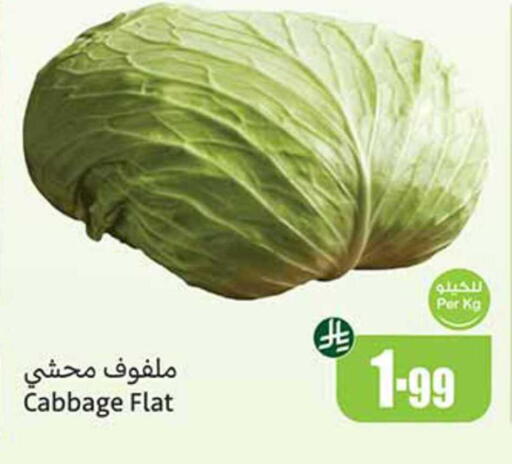 Cabbage available at أسواق عبد الله العثيم in مملكة العربية السعودية, السعودية, سعودية - حائل‎