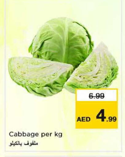 Cabbage available at نستو هايبرماركت in الإمارات العربية المتحدة , الامارات - دبي