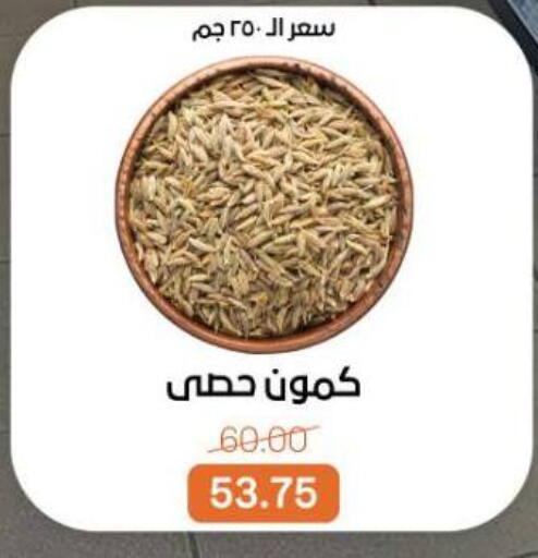 available at بيت الجملة in Egypt - القاهرة