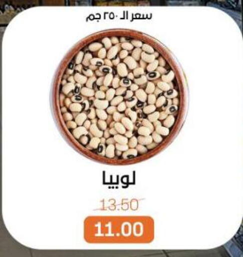 available at بيت الجملة in Egypt - القاهرة