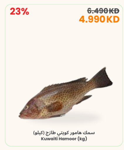 available at The Sultan Center in Kuwait - Ahmadi Governorate