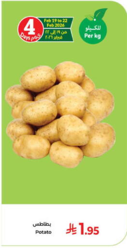 Potato available at Kabayan Hypermarket in KSA, Saudi Arabia, Saudi - Yanbu