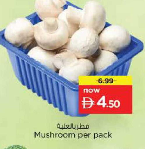 Mushroom available at نستو هايبرماركت in الإمارات العربية المتحدة , الامارات - دبي