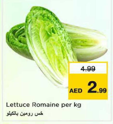 Lettuce available at Nesto Hypermarket in UAE - Abu Dhabi