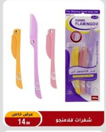 available at المرشدي in Egypt - القاهرة