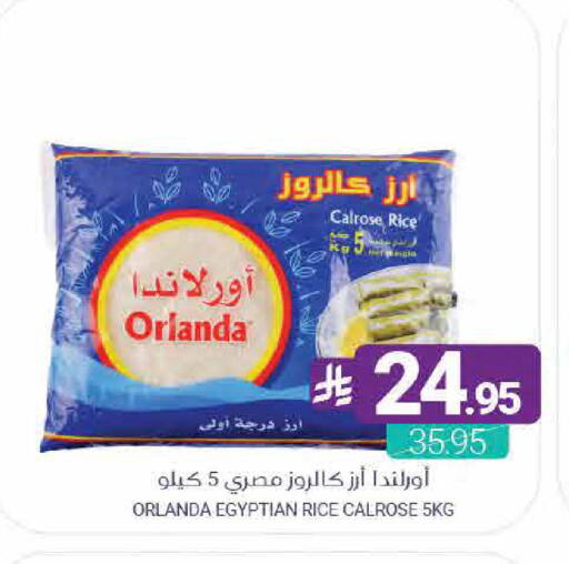 available at Muntazah Markets in KSA, Saudi Arabia, Saudi - Saihat
