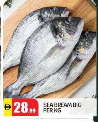 available at بيج مارت in الإمارات العربية المتحدة , الامارات - أبو ظبي