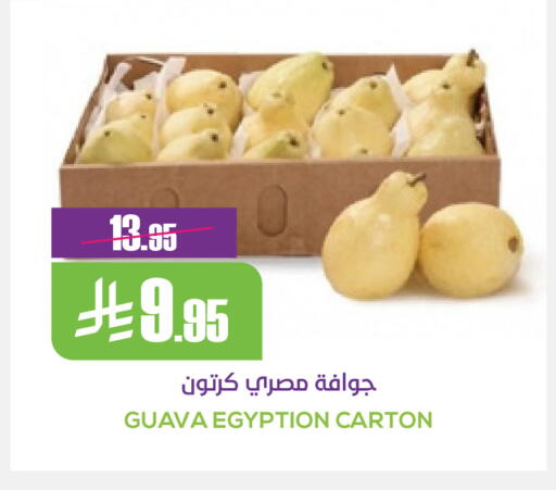 Guava available at سبت in مملكة العربية السعودية, السعودية, سعودية - بريدة