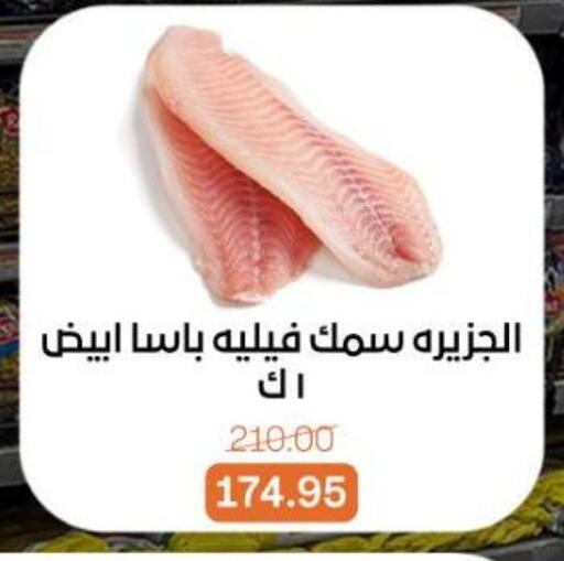 available at بيت الجملة in Egypt - القاهرة