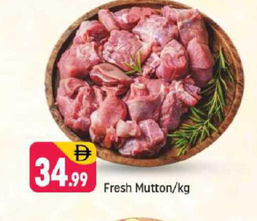 available at شكلان ماركت in الإمارات العربية المتحدة , الامارات - دبي