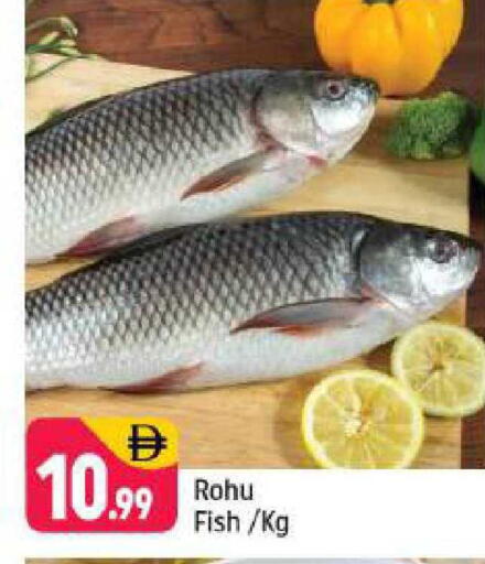 available at شكلان ماركت in الإمارات العربية المتحدة , الامارات - دبي