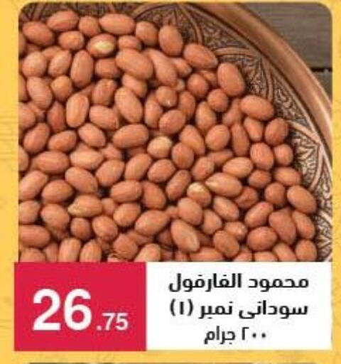 available at محمود الفار in Egypt - القاهرة