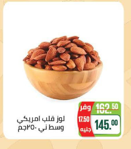 available at سعودي سوبرماركت in Egypt - القاهرة