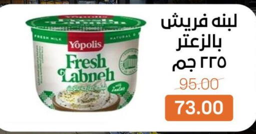 available at بيت الجملة in Egypt - القاهرة