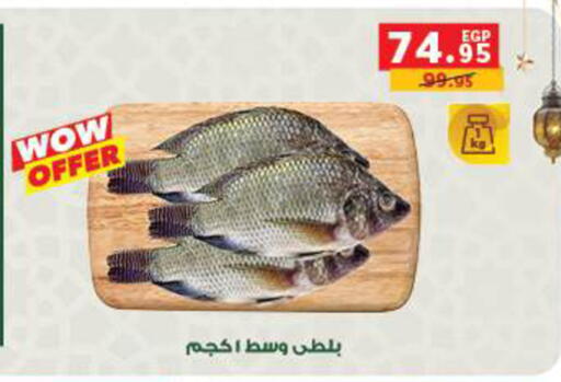 available at بنده in Egypt - القاهرة
