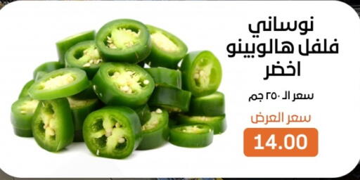 available at بيت الجملة in Egypt - القاهرة