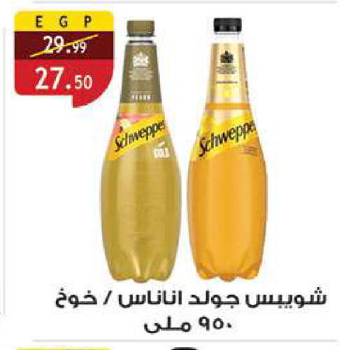 available at الرايه  ماركت in Egypt - القاهرة